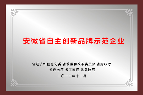 安徽省自主创新品牌示范企业